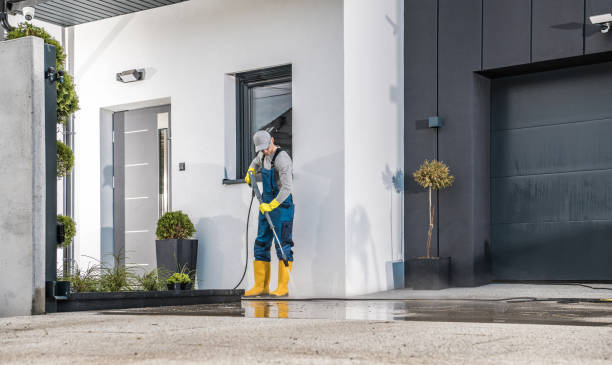 Professional Pressure Washing Services in Pelahatchie, MS